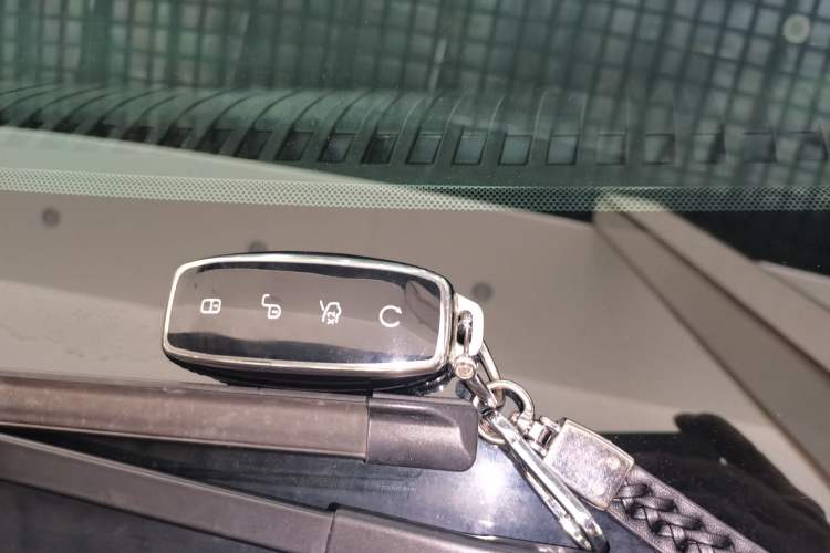 Used Denza D9 2024 DM-i 970 Luxury Model