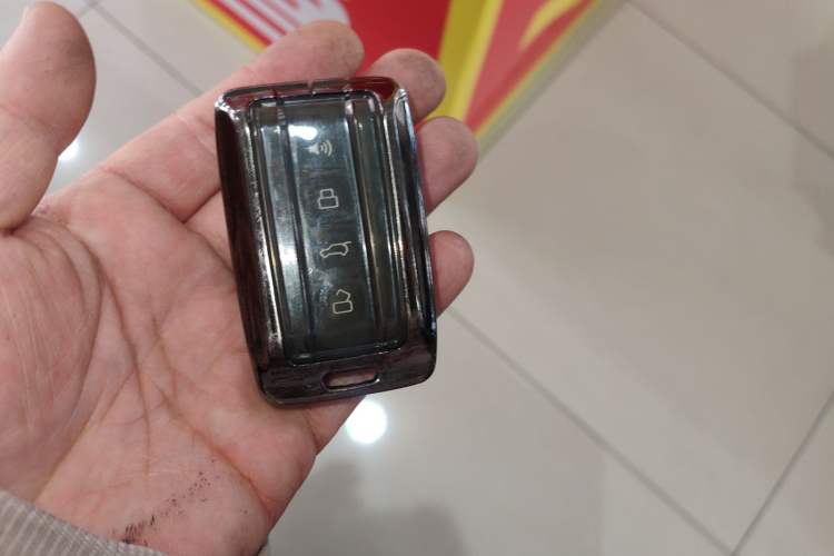 Used Tank 300 2024 2.0T Conqueror
