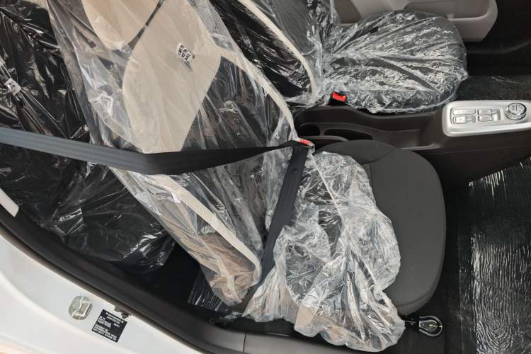 Used Qiyuan Lumin 2026 Model Treasure Edition 205km Passionate Beige Ningde