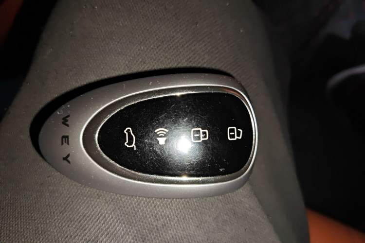 Used Wey Lanshan 2023 Four-Wheel Drive Ultra-Long Range Version