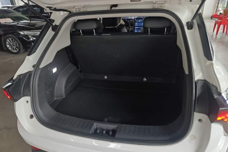 Used NETA V 2021 Long-Range Entertainment Edition Upgrade Model
