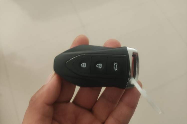 Used Leopaard CS10 2017 2.0T Automatic Luxury Model