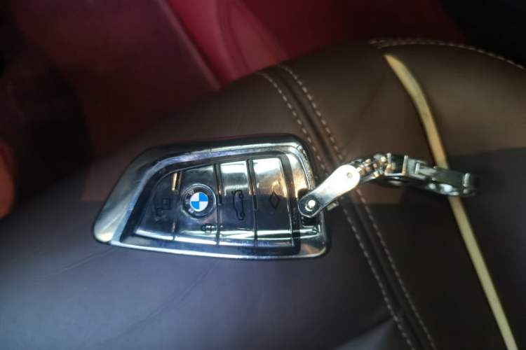 Used BMW 5 Series 2019 Facelifted 530Li Leading Edition Luxury Package Vehicle Key