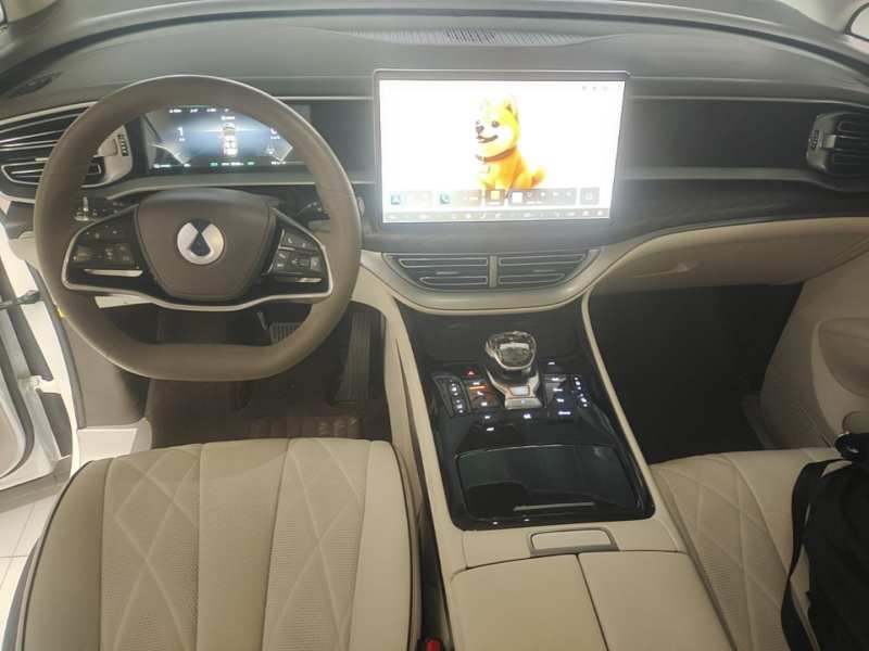 Used Denza D9 2024 DM-i 1050 Luxury Model — 9