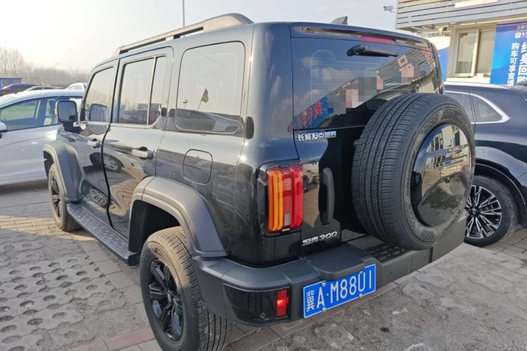 Used Tank 300 2024 2.0T Conqueror