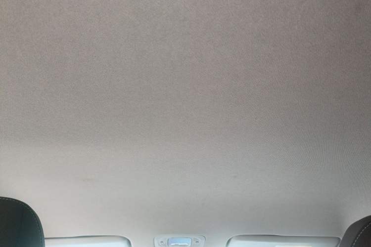 Used AION Y 2024 Younger Headliner