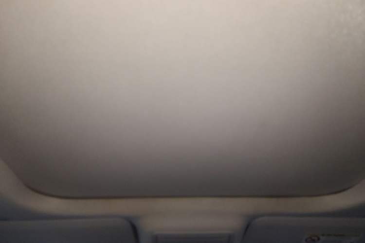 Used Ford Escape 2020 EcoBoost 245 Four-Wheel Drive Titanium Edition Headliner