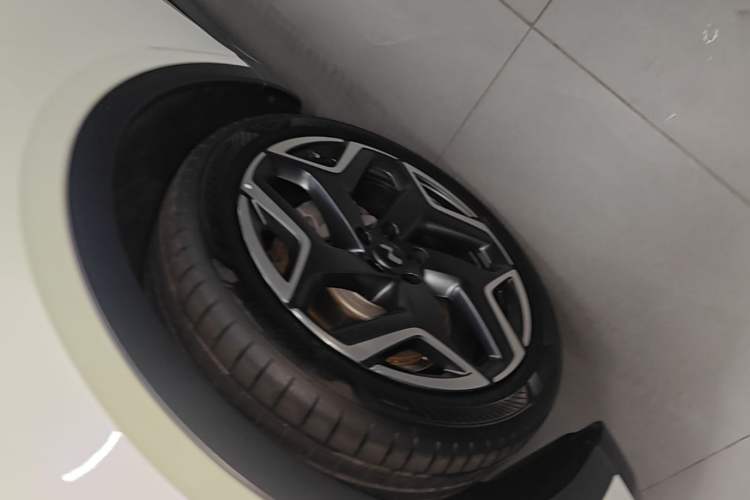 Used ONVO L60 2024 60 kWh Rear-Drive Version
