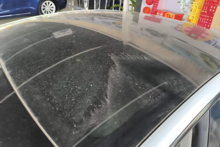 Used Tesla Model 3 2022 Rear-Wheel-Drive Version Roof