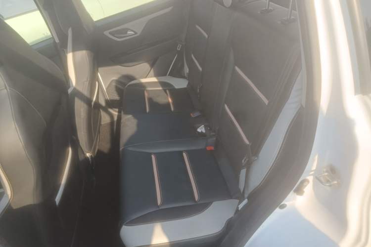 Used SOL E10X 2022 Flower Fairy Design Four-Leaf Clover