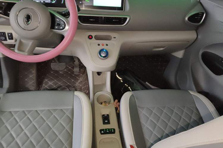 Used ORA White Cat 2020 401 km Flagship Version
