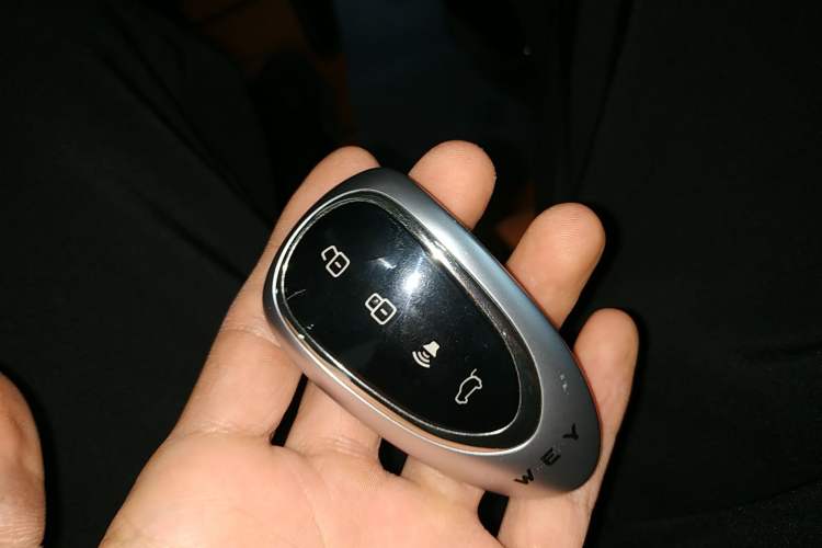 Used Wey Lanshan 2025 Four-Wheel Drive Max
