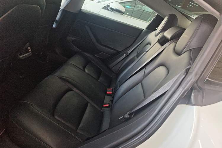 Used Tesla Model 3 (Import) 2019 Standard Range Rear-Wheel Drive Upgraded Version (60 kWh)