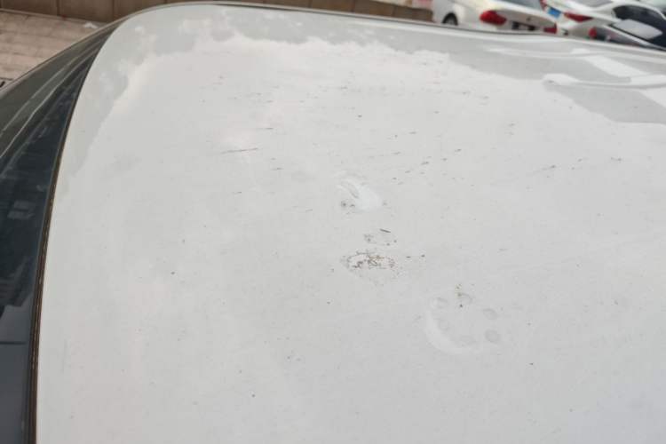 Used CHANGAN OSHAN X70A 2019 1.5L Manual Basic Version China VI Standard