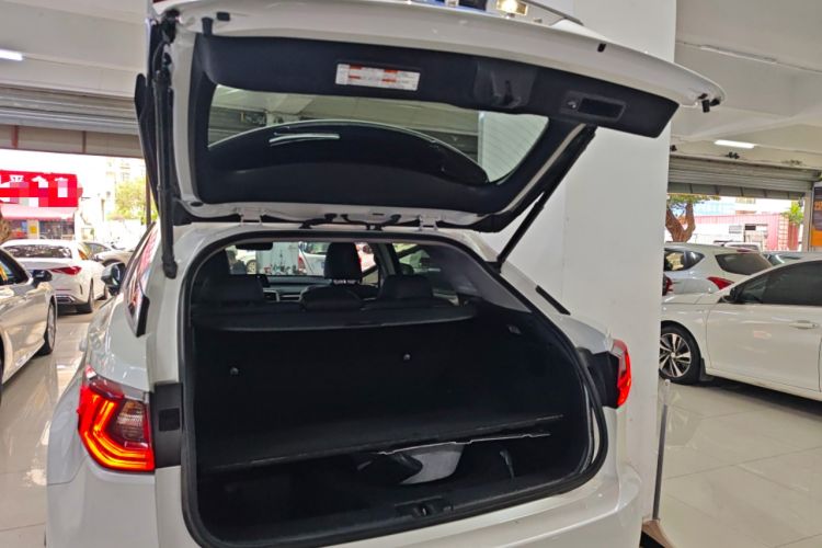 Used Lexus RX 2016 300 Two-Wheel Drive Comfort Edition China V Standard Trunk