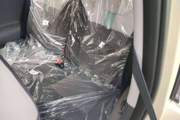 Used Qiyuan Lumin 2025 205 km Xiangqin Version