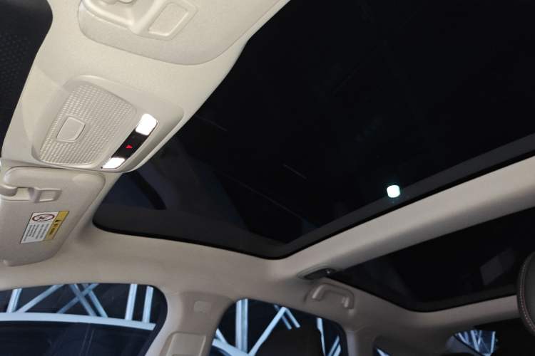 Used XPeng P7 2022 670N+ Headliner