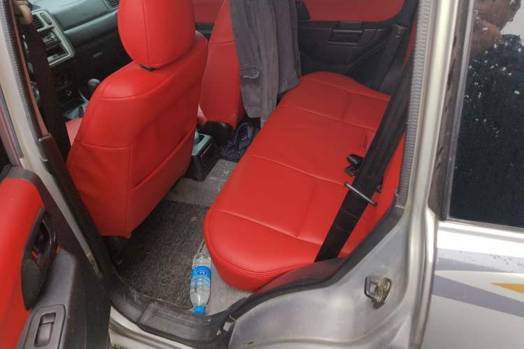 Used Leopaard Feiting 2009 2.0L 4x4 Luxury Edition