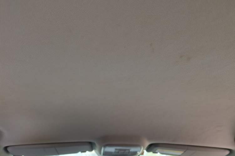 Used Leopaard CS10 2017 1.5T CVT Elite Model Headliner