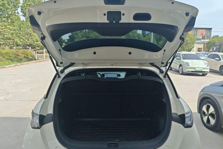 Used BYD Dolphin 2024 Honor Edition 420km Fashion Version