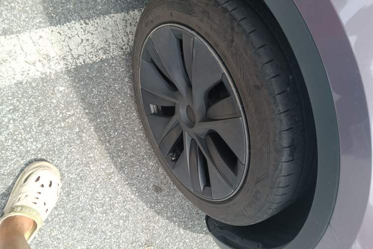 Used Tesla Model Y 2023 Rear-Wheel-Drive Version
