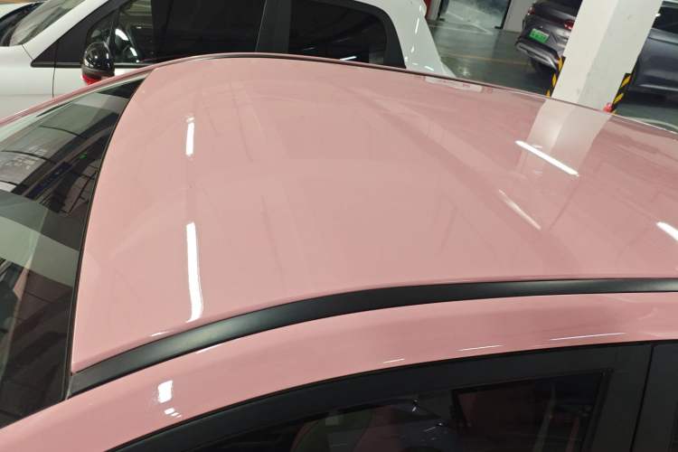 Used NETA V 2021 Witch Edition
