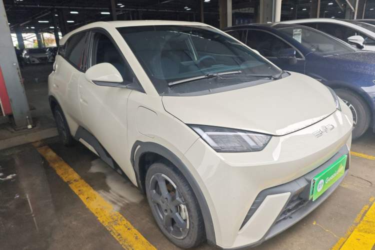 Used BYD Seagull 2023 Free Edition Exterior 1