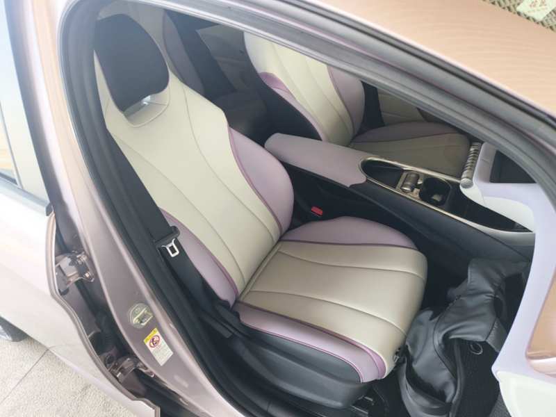 Used BYD Dolphin 2023 420 km Free Version — 24