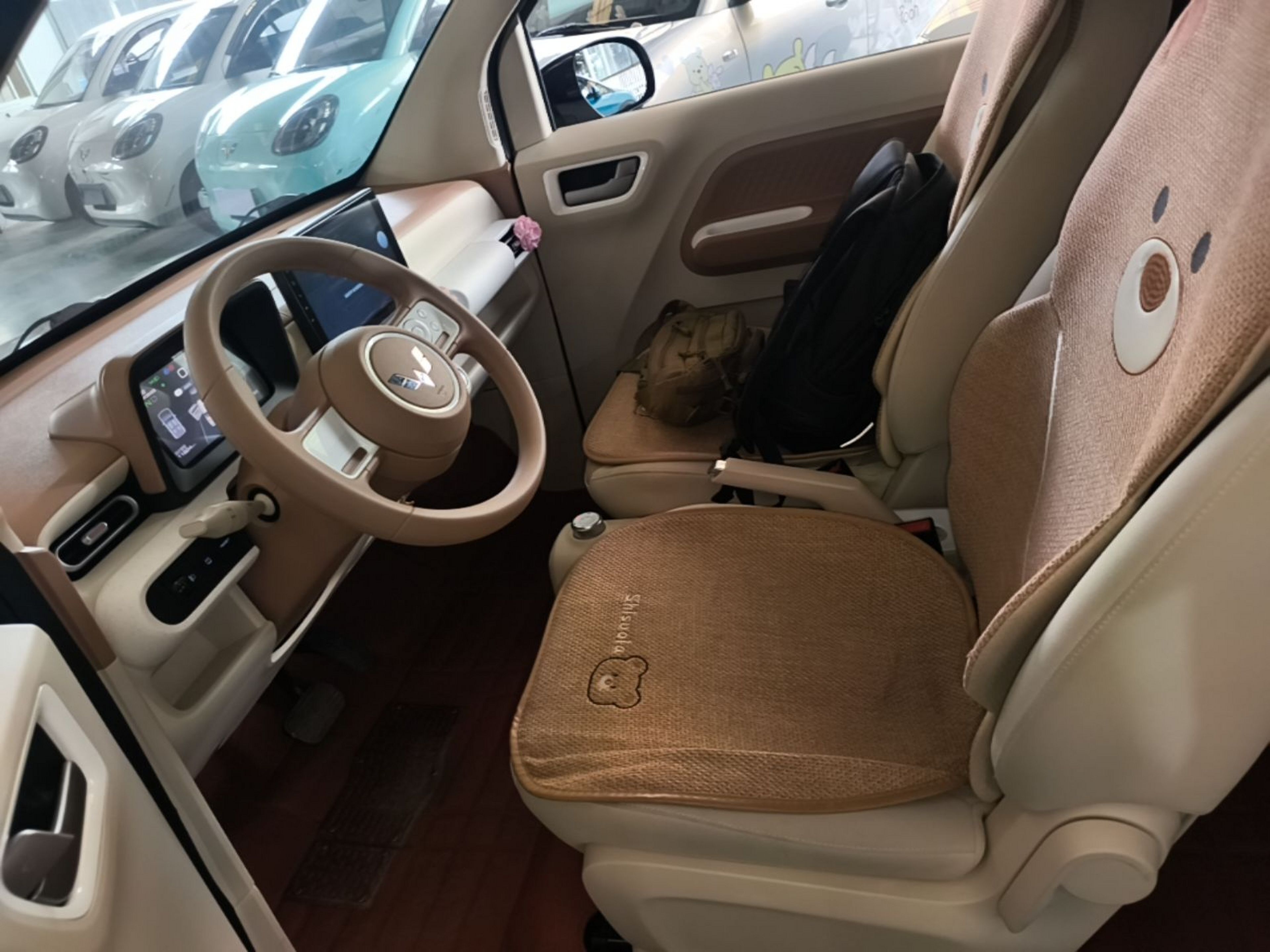 Interior delantero