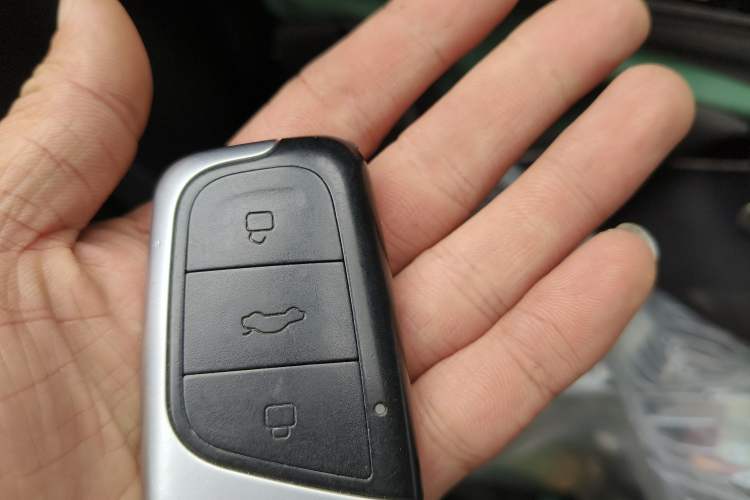 Used Chery Little Ant 2026 Model 271km True Love Version
