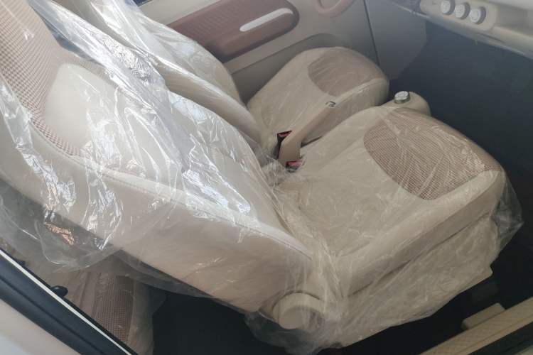 Used Wuling Hongguang MINIEV 2024 3rd Generation 215km Youth Edition Right Front Seat