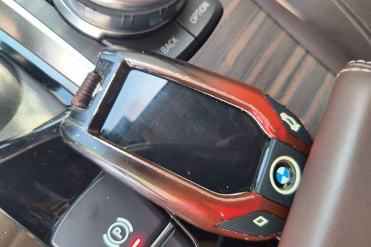 Used BMW 5 Series New Energy 2019 530Le Luxury Package