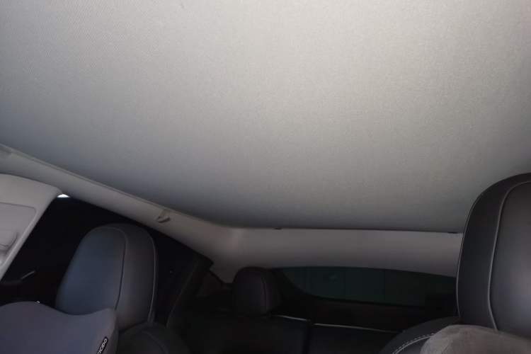 Used Tesla Model Y 2021 Standard Range Rear-Wheel Drive Version Headliner