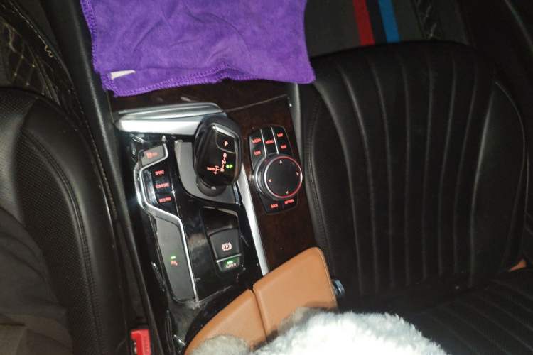 Used BMW 5 Series 2018 528Li Launch Special Edition Gear Lever