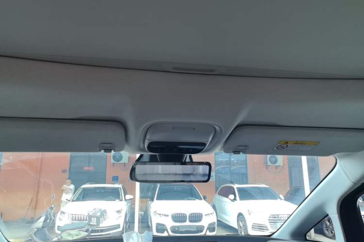 Used XPeng X9 2024 610 Long-Range Pro Headliner