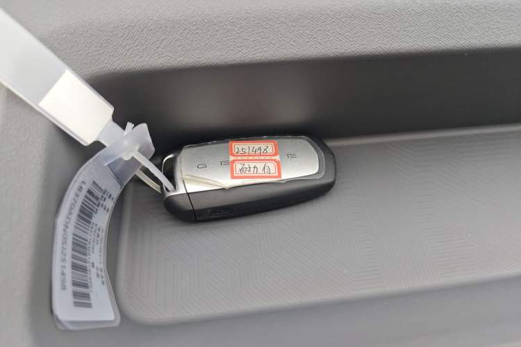 Used Geely Galaxy Panda 2024 Panda Mini 200km Endurance Bear
