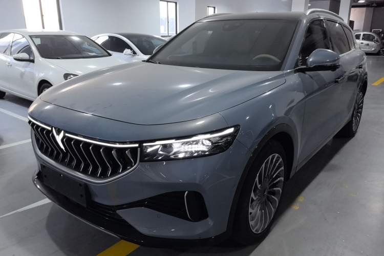 Used VOYAH FREE 2021 Four-Wheel Drive Standard Range-Extended Exclusive Luxury Package