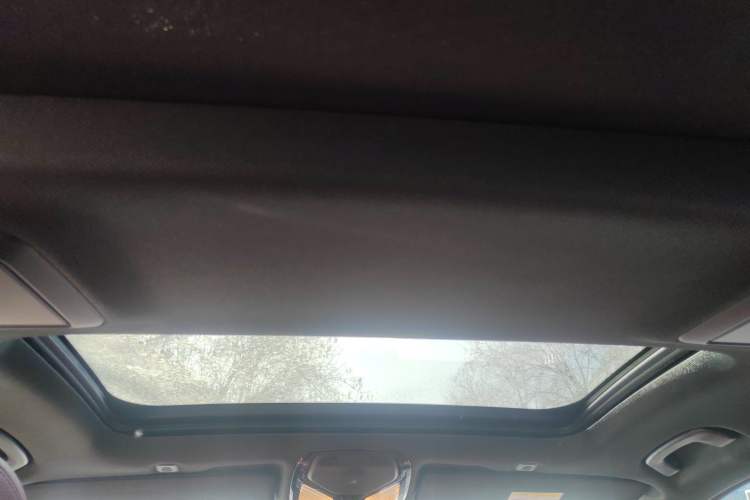 Used BMW 5 Series 2019 Facelifted 530Li Leading Edition M Sport Package Headliner