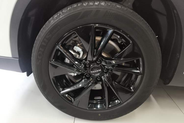 Used Haval H6 2024 1.5T Two-Wheel Drive Max
