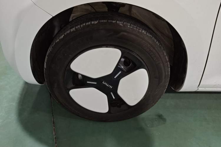 Used Qiyuan Lumin 2023 205km Xiangqin Version
