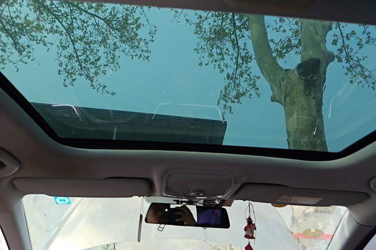 Used Skoda Octavia 2019 TSI280 DSG Luxury Edition
