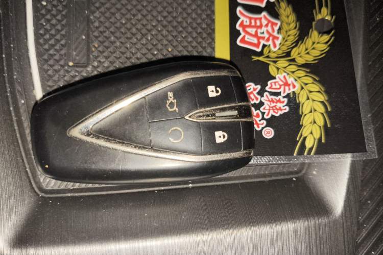 Used Oshan Z6 2022 Blue Whale 1.5T DCT Luxury Model
