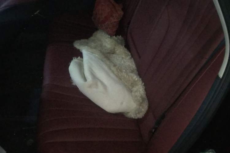 Used Hongqi H5 2025 1.5T DCT Qiyun 500 000th Unit Commemorative Edition
