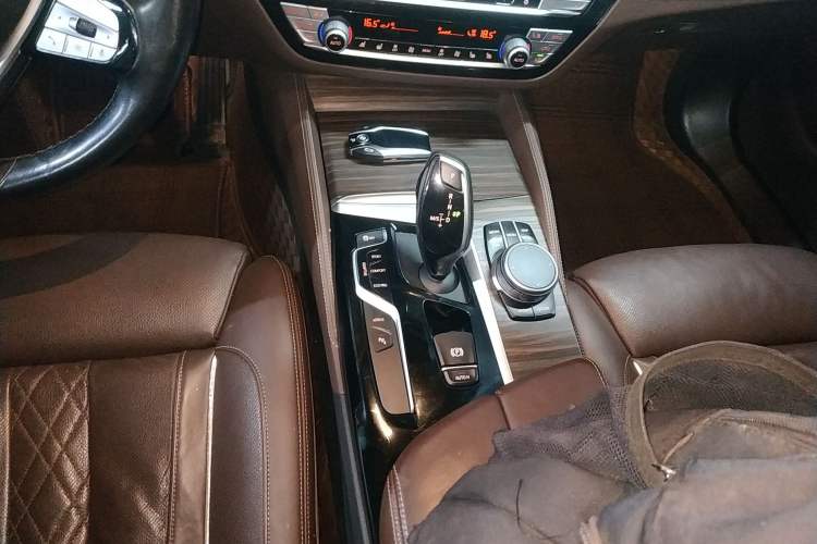 Used BMW 5 Series New Energy 2020 Mileage Upgrade Version 530Le Pioneer Edition
