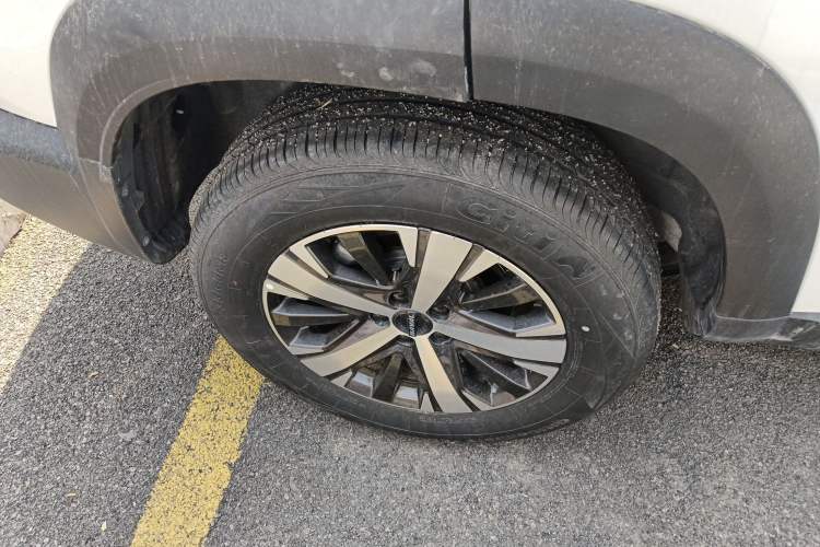 Used Haval DARGO 2022 1.5T DCT Two-Wheel Drive Labrador Edition