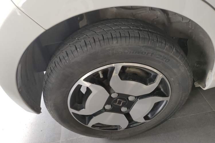 Used SOL E10X 2022 Flower Fairy Style Baby's Breath
