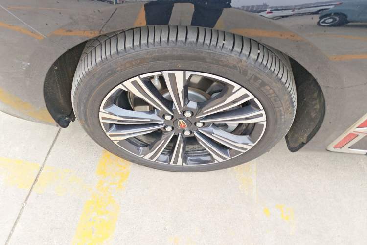 Used Hongqi H9 2024 2.0T Qixiang Private Style Edition