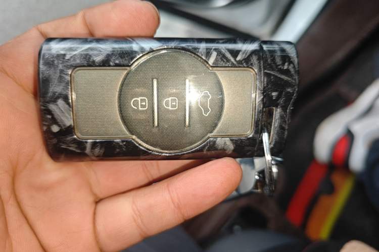 Used EXEED Zhuifeng 2022 Chasing the Waves Edition 1.5T CVT Good Things Peanut Edition