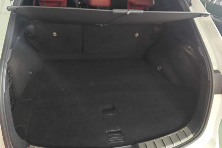 Used Lexus NX 2022 260 Front-Wheel Drive Enjoy Edition