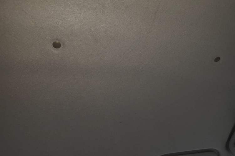 Used SOL E10X 2022 Flower Fairy Design Four-Leaf Clover Headliner